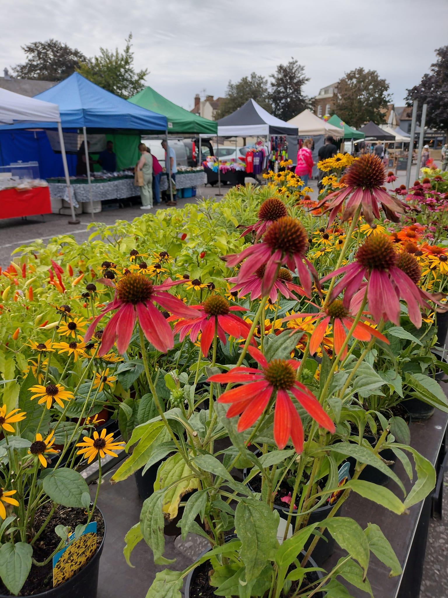 Rochester Farmers' Market Visit Medway Visit Medway