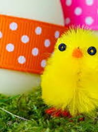 Easter Chick Craft Jpg (1)
