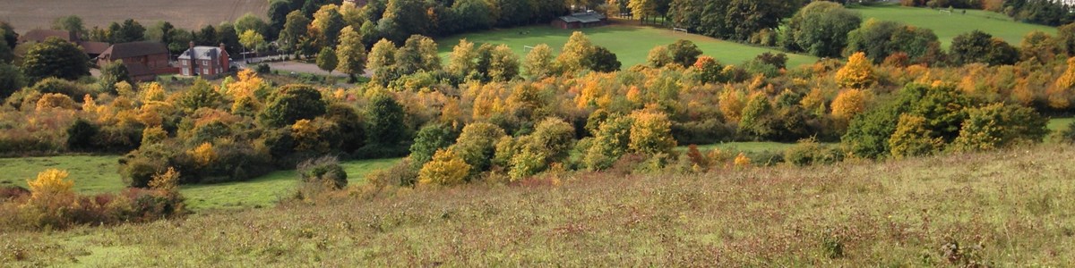 Darland Banks Panorama