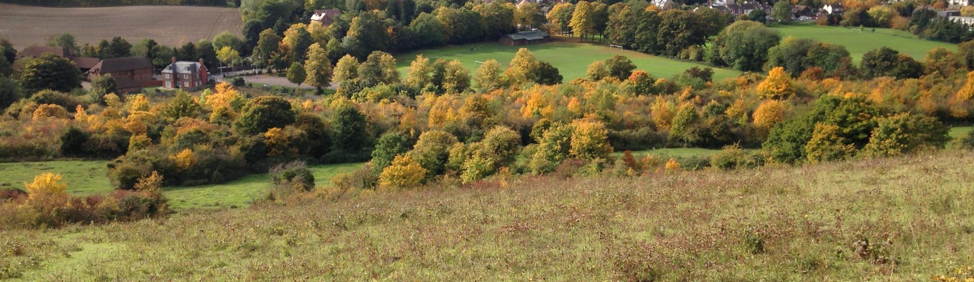 Darland Banks - Visit Medway